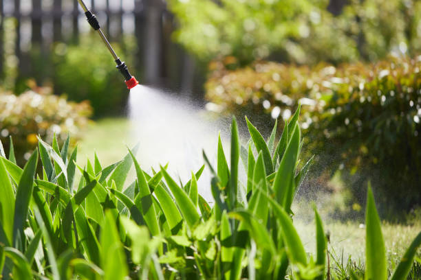 24/7 Emergency Termite Control experts in Eagle Butte, SD